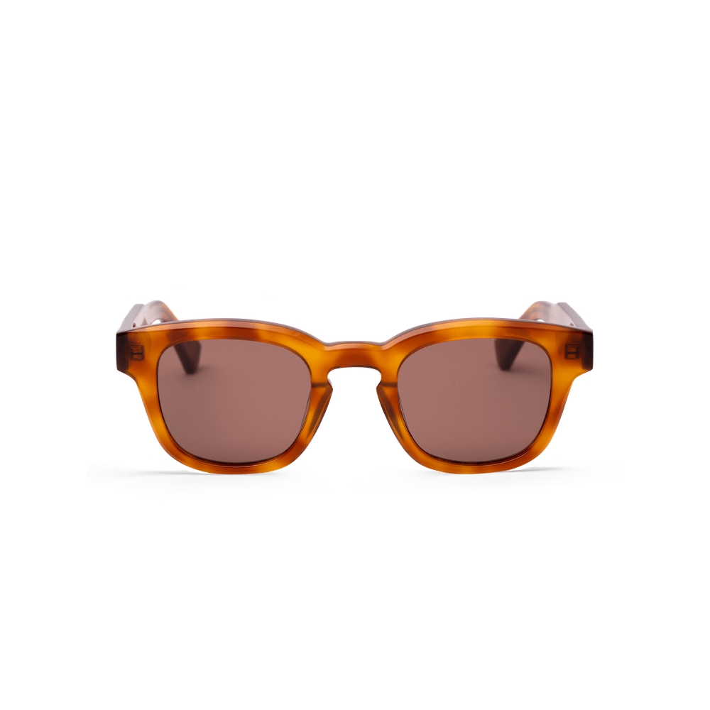 AUSTIN Havana Transparent