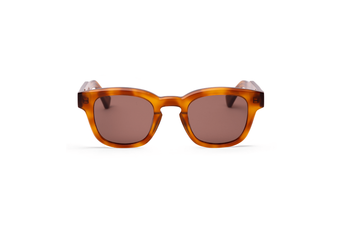 AUSTIN Havana Transparent
