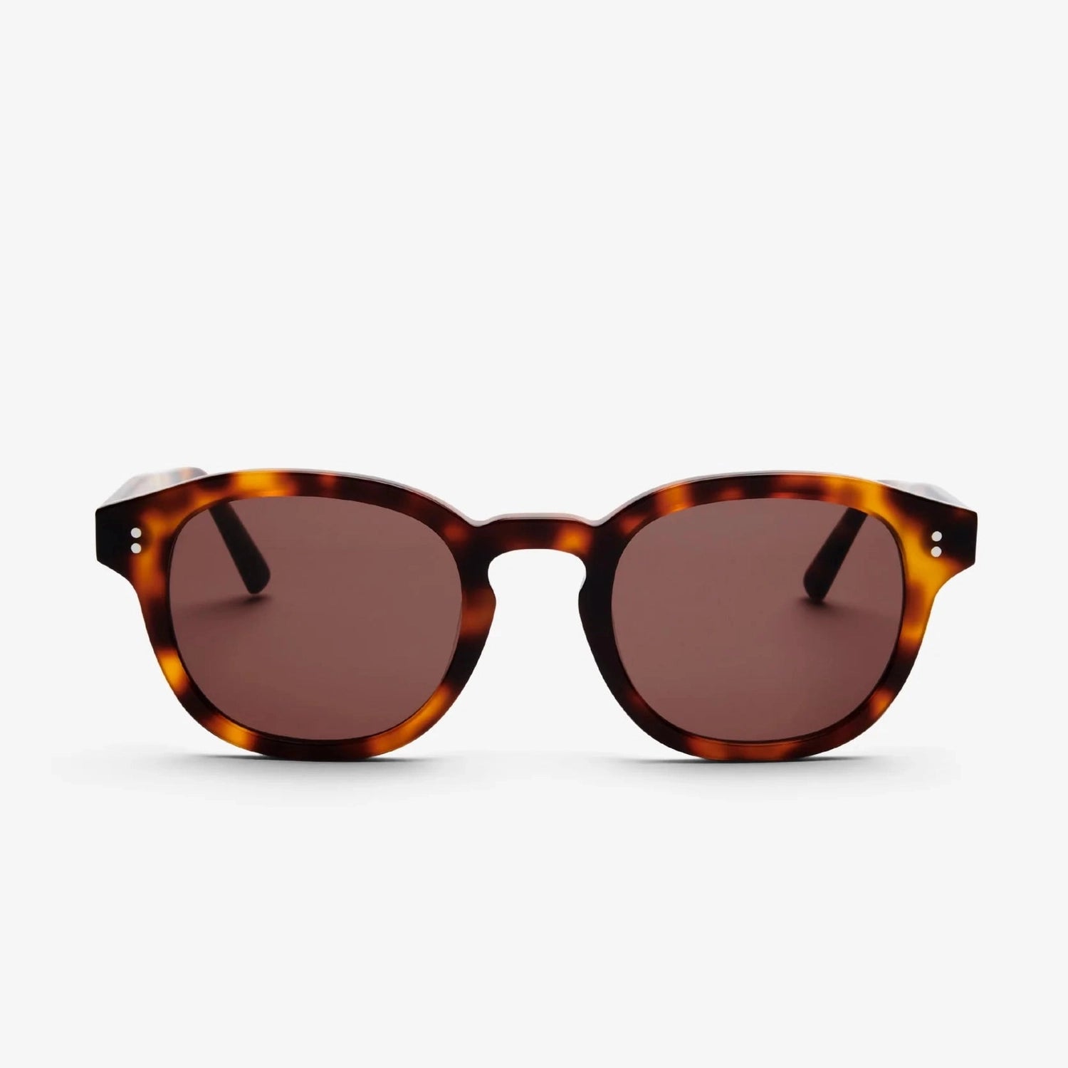 BILLE Tortoise