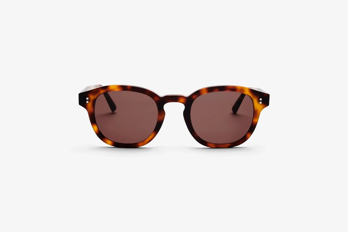 BILLE Tortoise