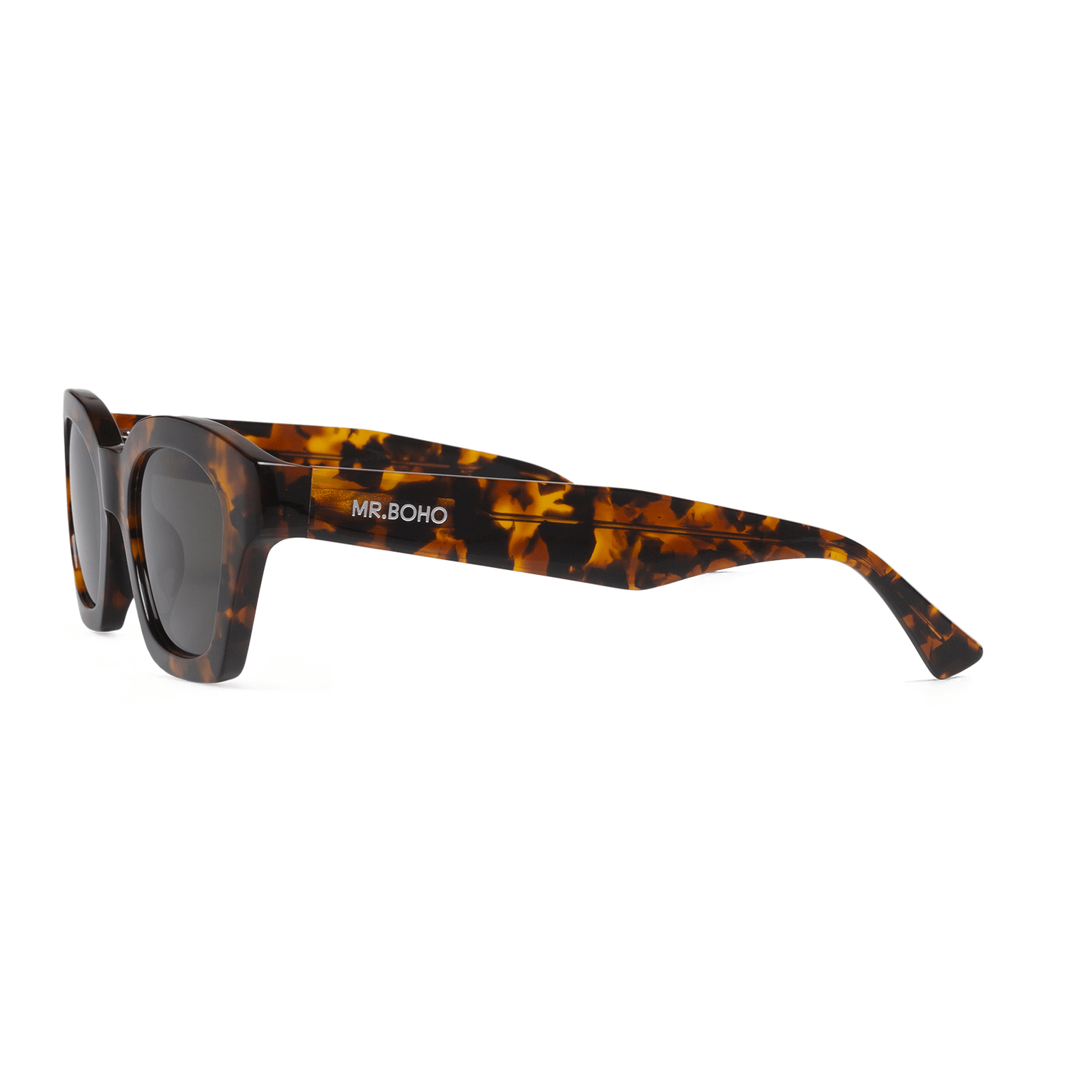 CHEETAH - BARROSA