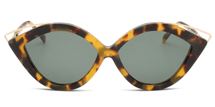 Natalie | Tortoise