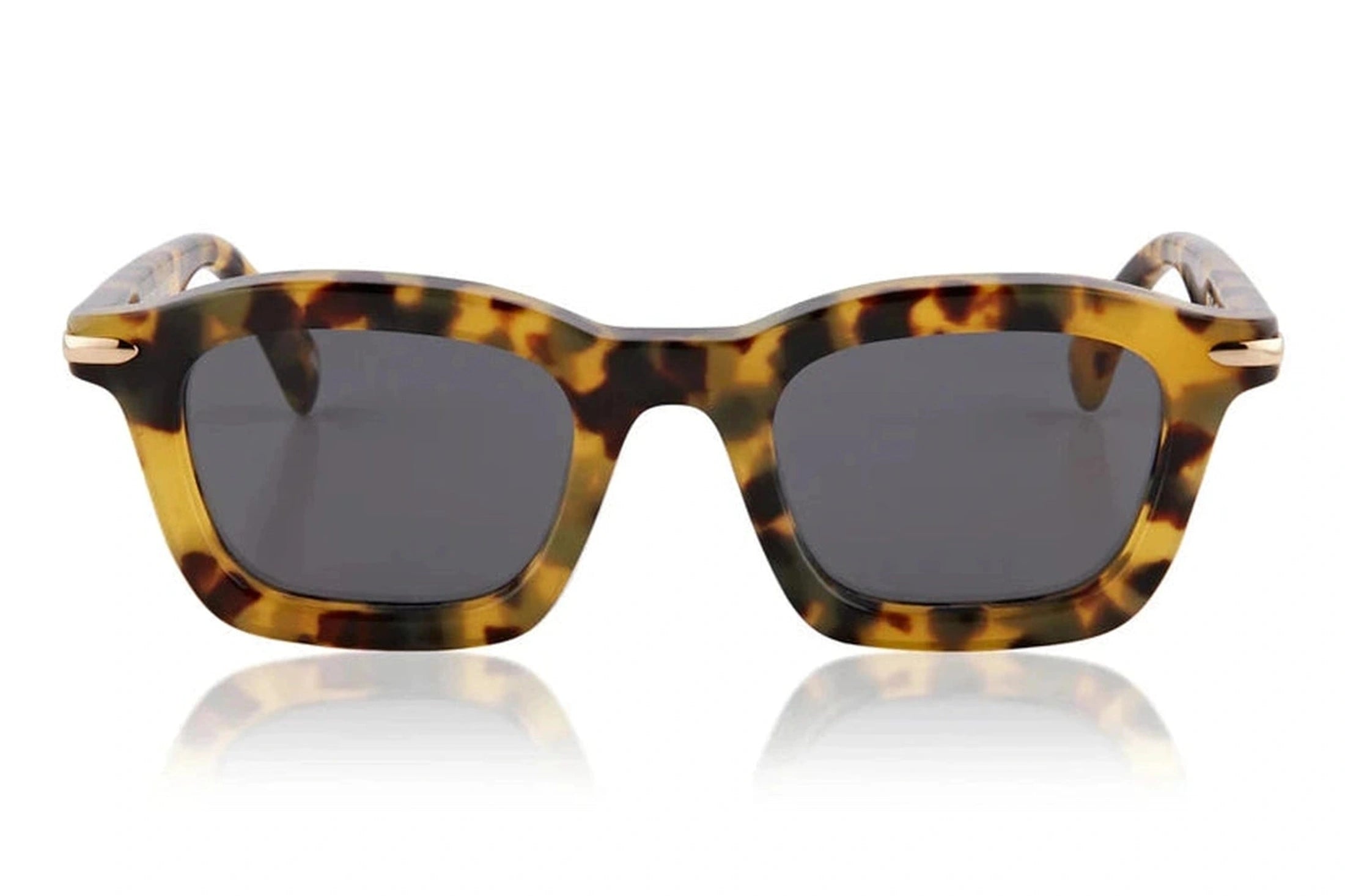 Saint Koa Light Tort