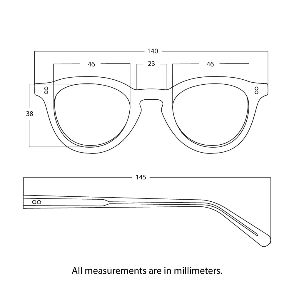 The Spielberg Tortoise
