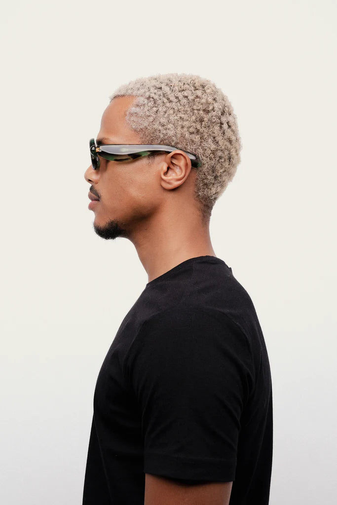 Pebble Safari Tortoise RX