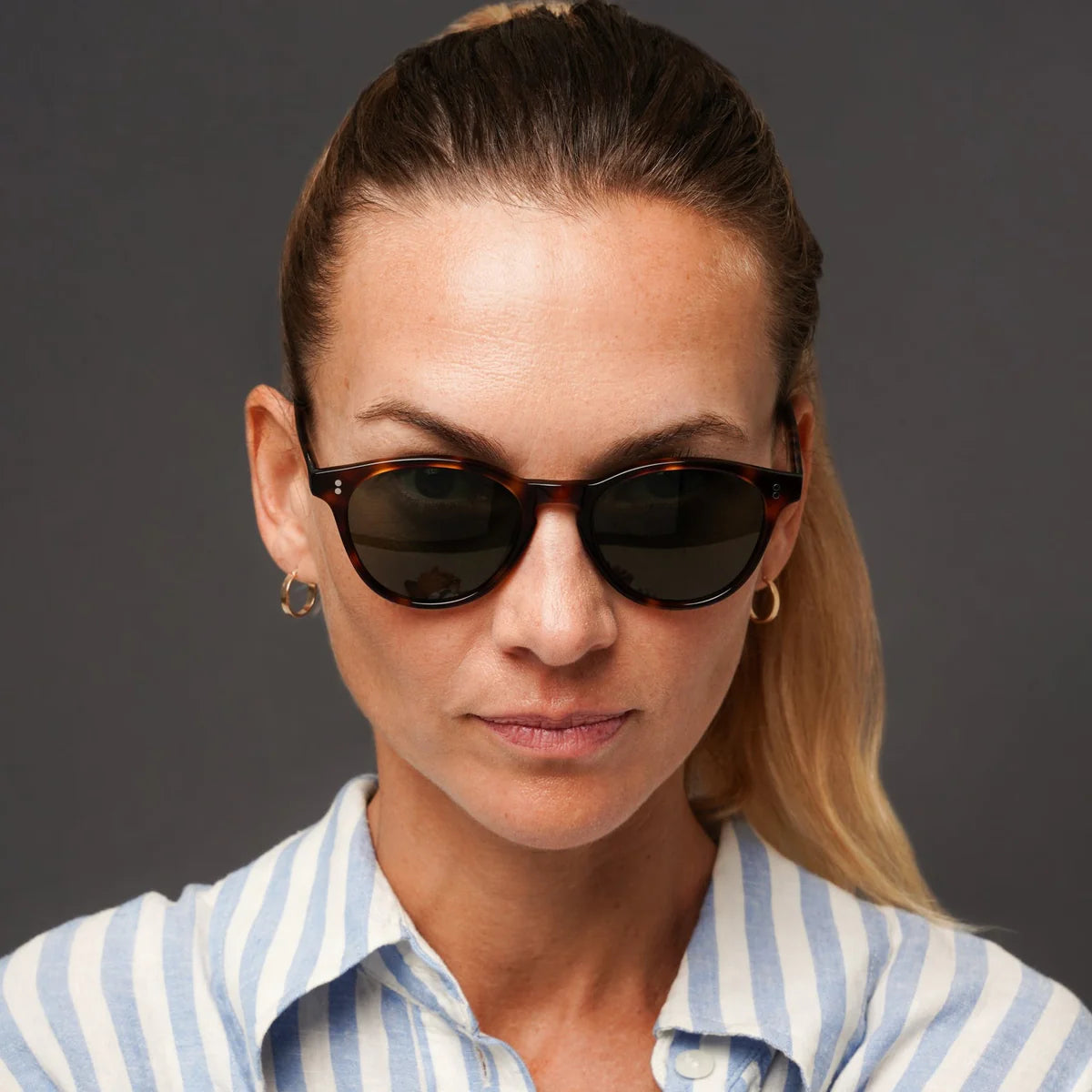 The Spielberg Tortoise