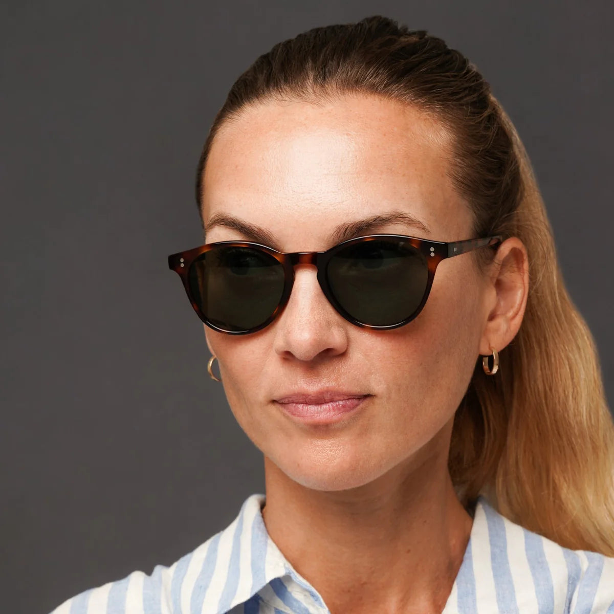 The Spielberg Tortoise