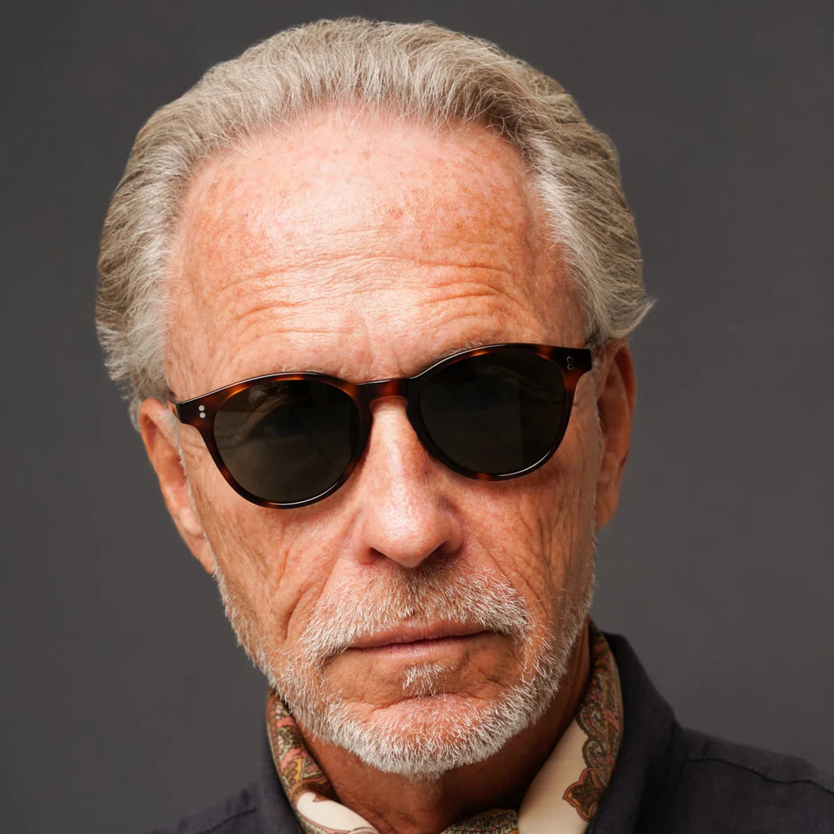 The Spielberg Tortoise