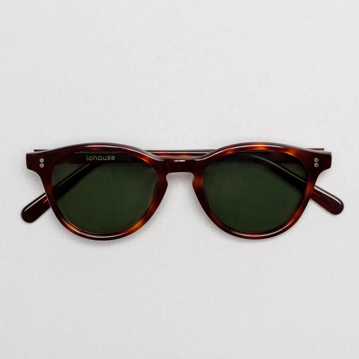 The Spielberg Tortoise